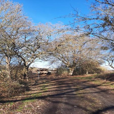 Exklusive Naturoase Direkt Am Ars Natura Wanderweg Mit Panoramablick Auf Melsungen Luaran gambar